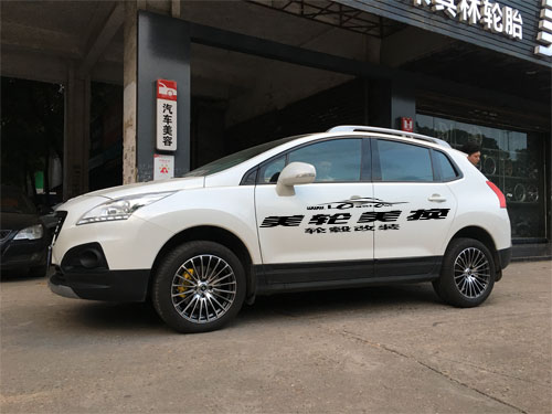 3008챸װ